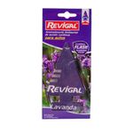 Desodorante-Revigal-X-10-Gr-Desodorante-Lavanda-Revigal-10-Gr-1-1107