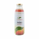 Jugo-De-Manzana-Organico--X-500-Cc-Las-Brisas-Jugo-De-Manzana-Organico-Las-Brisas-bot-cc-500-1-8001