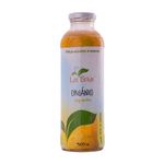 Jugo-De-Pera-Organico-X-500-Cc-Las-Brisas-Jugo-De-Pera-Organico-Las-Brisas-bot-cc-500-1-8005