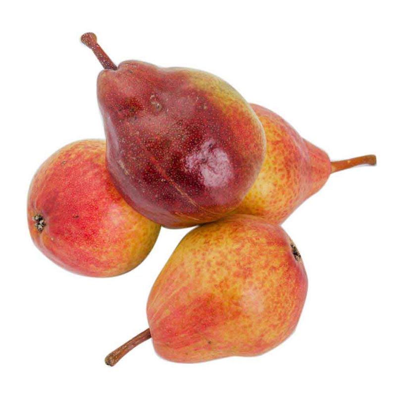 Pera-Pera-Red-Battler--1-Kg-1-10890