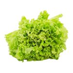 Lechuga-Lechuga-Comun-1-Kg-1-10907