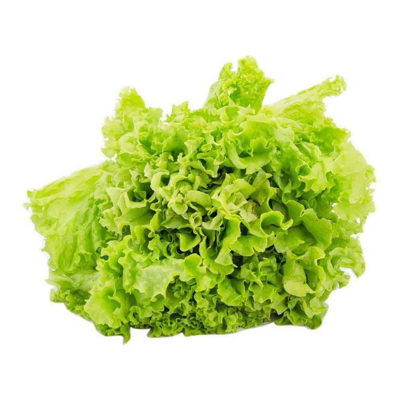 Lechuga-Lechuga-Comun-1-Kg-1-10907