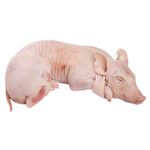 Lechon-Congelado-Kg-Lechon-Congelado-Kg-Amaya--S-e-1-Kg-1-14299