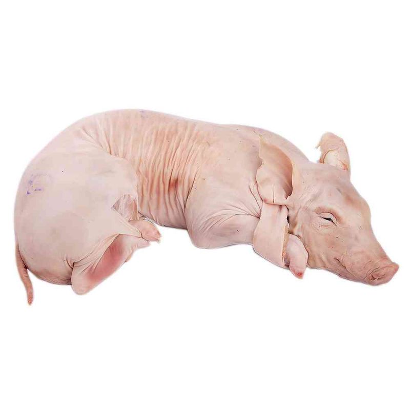 Lechon-Congelado-Kg-Lechon-Congelado-Kg-Amaya--S-e-1-Kg-1-14299