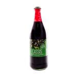 Salsa-Frutas-Del-Sur-Cassis-Bot-540gr-Salsa-Frutas-Del-Sur-Cassis-540-Gr-1-18450