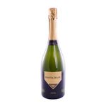 Champagña-Santa-Julia-X-750-Cc-Champaña-Santa-Julia-Extra-Brut-750-Cc-1-20151