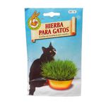 Hierbas-Para-Gatos-Parque-X-1-Un-1-20179