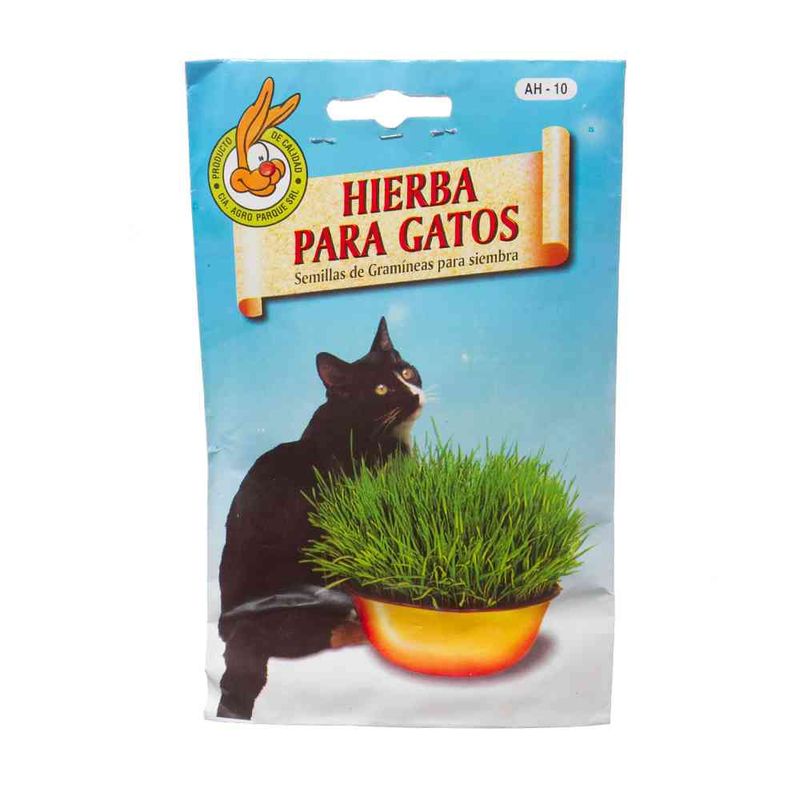 Hierbas-Para-Gatos-Parque-X-1-Un-1-20179