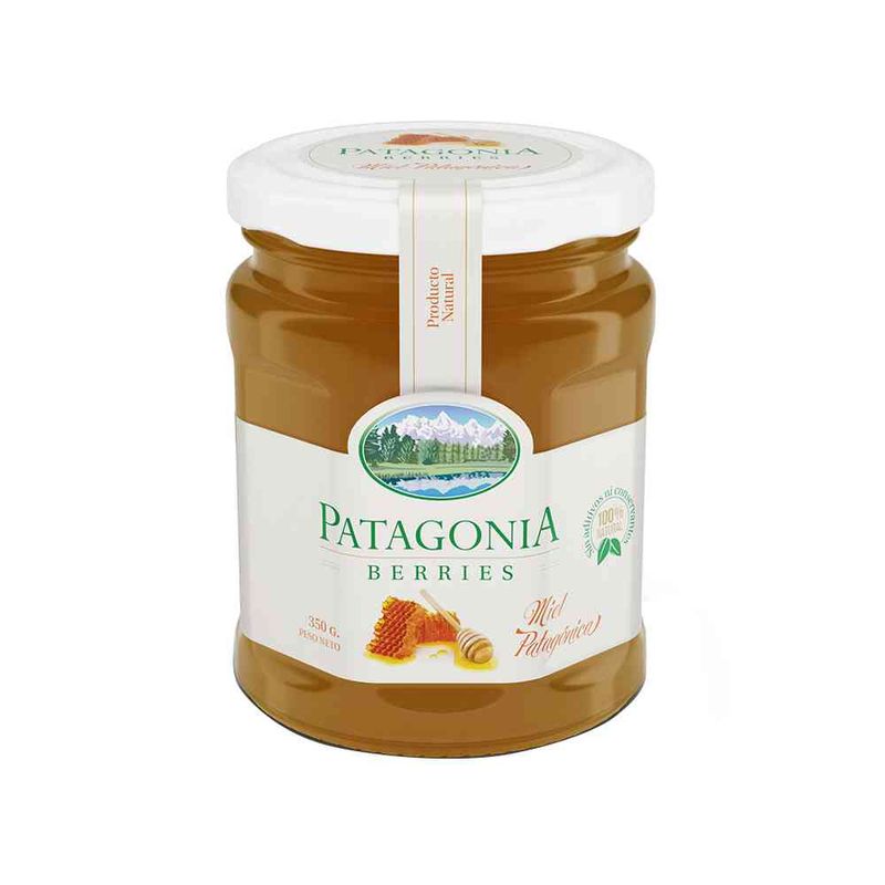 Miel-Patagonia-Berries-Pura-350-Gr-1-26613