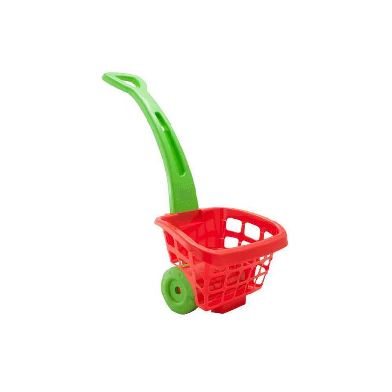 Canasto-De-Shopping-Canasto-De-Shopping-s-e-un-1-1-30050