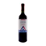 Punta-De-Flechas-Corte-Vino-Tinto-Punta-De-Flechas-Corte-1-30394