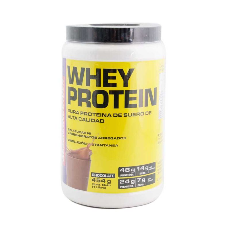 Suplementos-Web-Supp-Whey-Protein-Chocolate-X-454-G-Suplementos-Web-Supp-Whey-Protein-Chocolate-454-Gr-1-36025