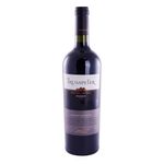 Vino-Trumpeter-Cabernet-Sauvignon-Vino-Tinto-Trumpeter-Cabernet-Sauvignon-Reserva-750-Cc-1-47471