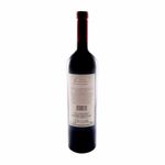 Vino-Familia-Gascon-Cabernet-X-750cc-2-13746