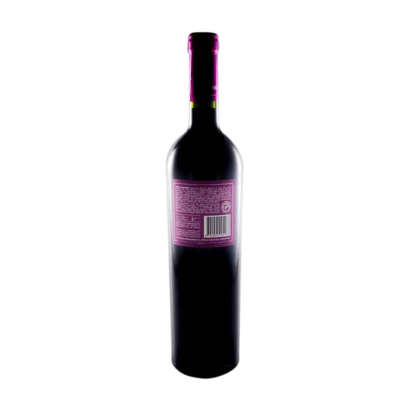 Vino-Nina-Malbec-Vino-Nina-Malbec-bot-cc-750-2-23841