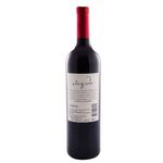 Vino-Elegido-Vino-Tinto-Elegido-Malbec-750-Cc-2-46268