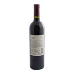 Vino-Norton-Coleccion-Cabernet-Sauv-750-Ml-Vino-Tinto-Norton-Coleccion-Cabernet-Sauvignon-Joven-750-Ml-2-19946