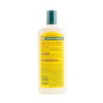 Shampoo-Capilatis-Shampoo-Capilatis-Cabellos-Secos-420-M-L-2-33657