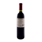 Vino-Benjamin-Naturaleza-Malbec-bonarda-Vino-Benjamin-Naturaleza-Malbec-bonarda-bot-cc-750-2-12861