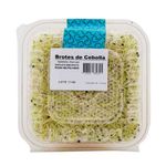 Brotes-De-Cebolla-SueÑo-Verde-2-46982