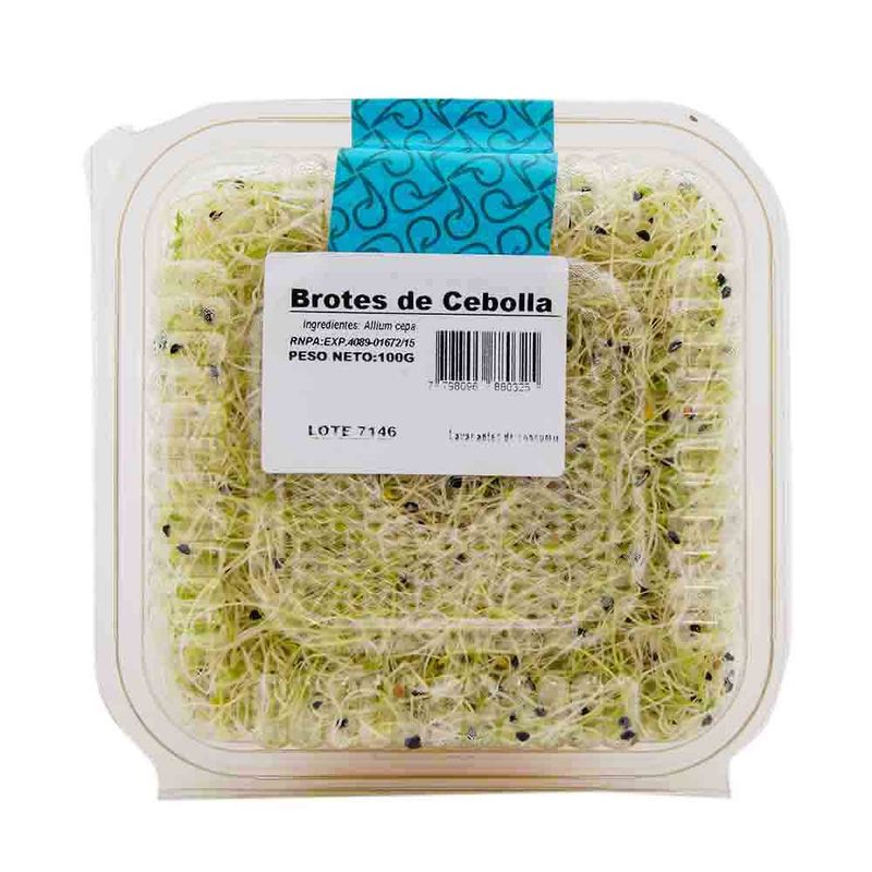 Brotes-De-Cebolla-SueÑo-Verde-2-46982