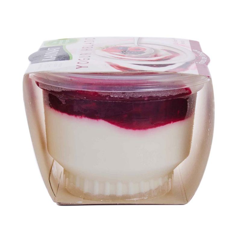 Yogur-Helado-Frutos-Del-Bosque-Karinat-X-120g-Yogurt-Helado-Frutos-Del-Bosque-Karinat-120-Gr-3-23802