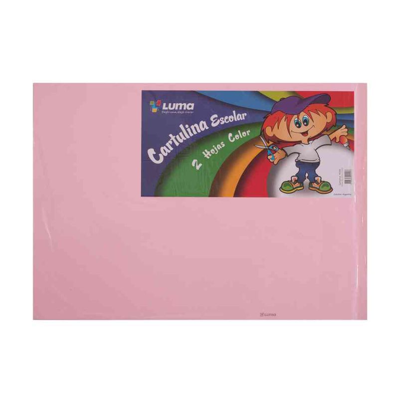 Cartulina--Rosa--X-2-Pliegos-1-134808