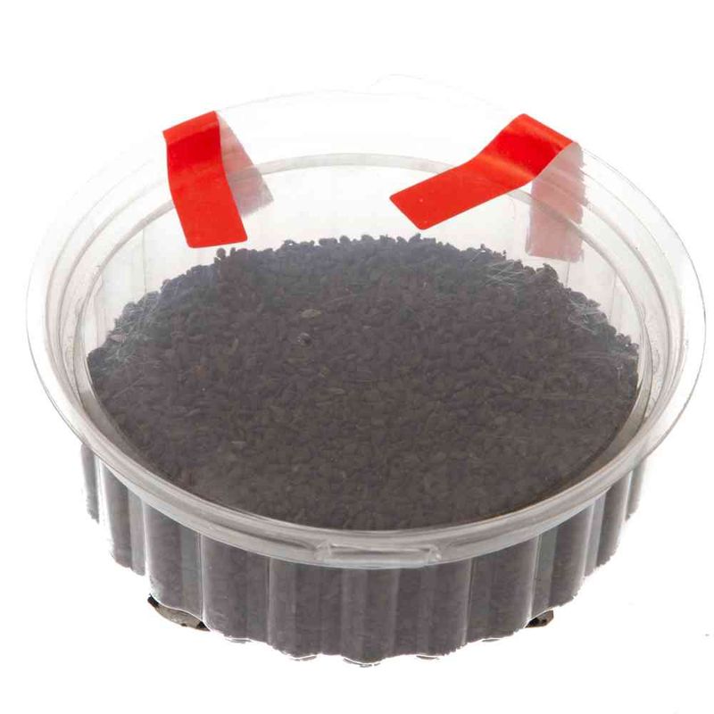 Semillas-Sesamo-Negro-X-100-Gr-pot-gr-100-1-190804