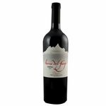Vino-Tierra-Del-Fuego-Malbec-Reserva-1-225762