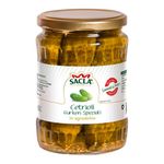 Pepinos-Agridulces-Sacla-X530g-1-39802