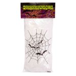 Telaraña-Con-6-Arañitas-1-240910