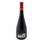 Vino-Tinto-Valderrobles-Euro-Bonarda-Syrah-700-Cc-2-240025