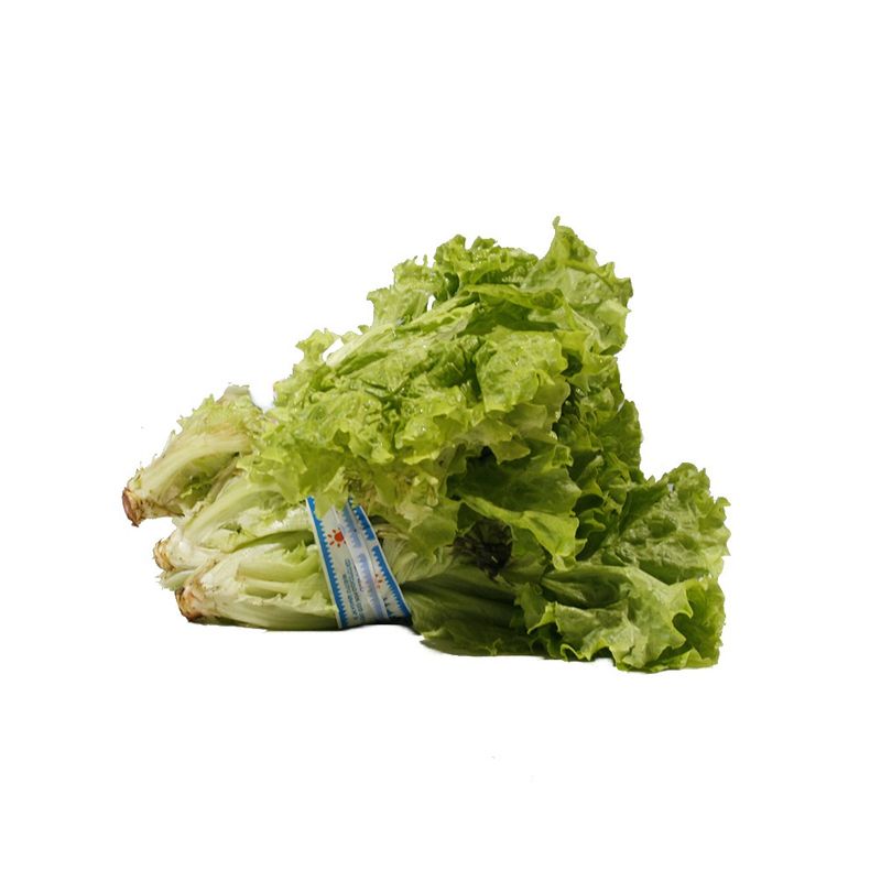 Lechuga-Francesa-Por-Kg-2-10908