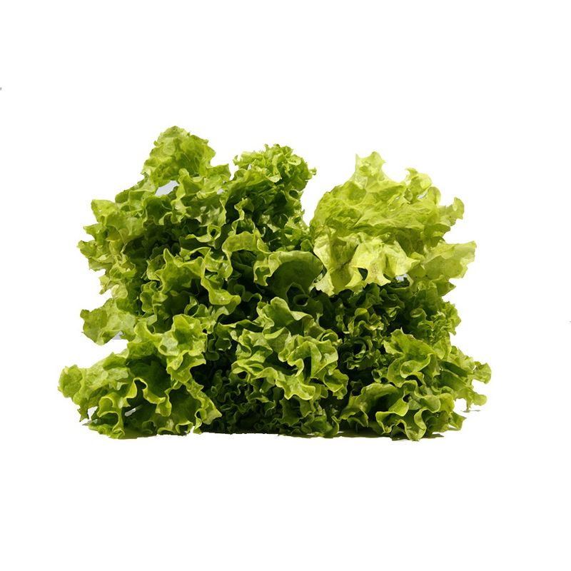 Lechuga-Francesa-Por-Kg-1-10908