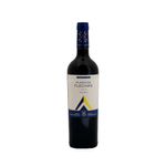 Vino-Tinto-Punta-De-Flechas-Malbec-1-30361