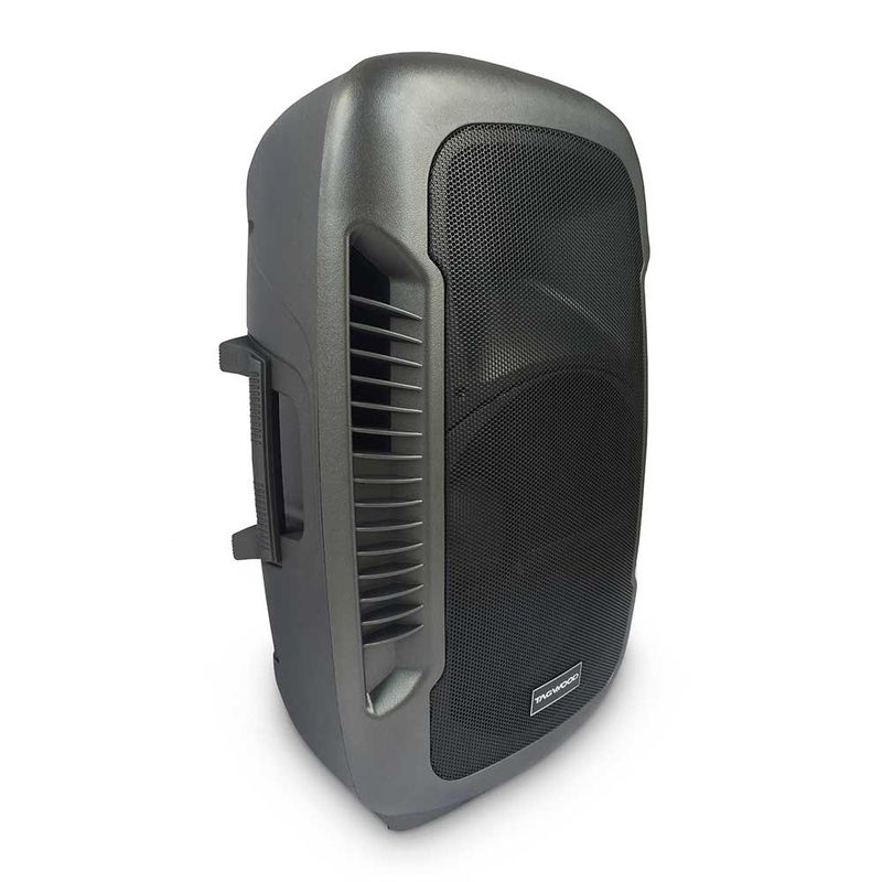 Parlante-Tgw-Papn15-Bluetooth-Radio-2-Mic---Tr-1-244038