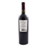 Vino-Tinto-Fino-Putruele-Syrah-750-Cc-2-248342