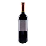 Vino-Tinto-Benegas-Lynch-Meritage-750-Cc-2-249156