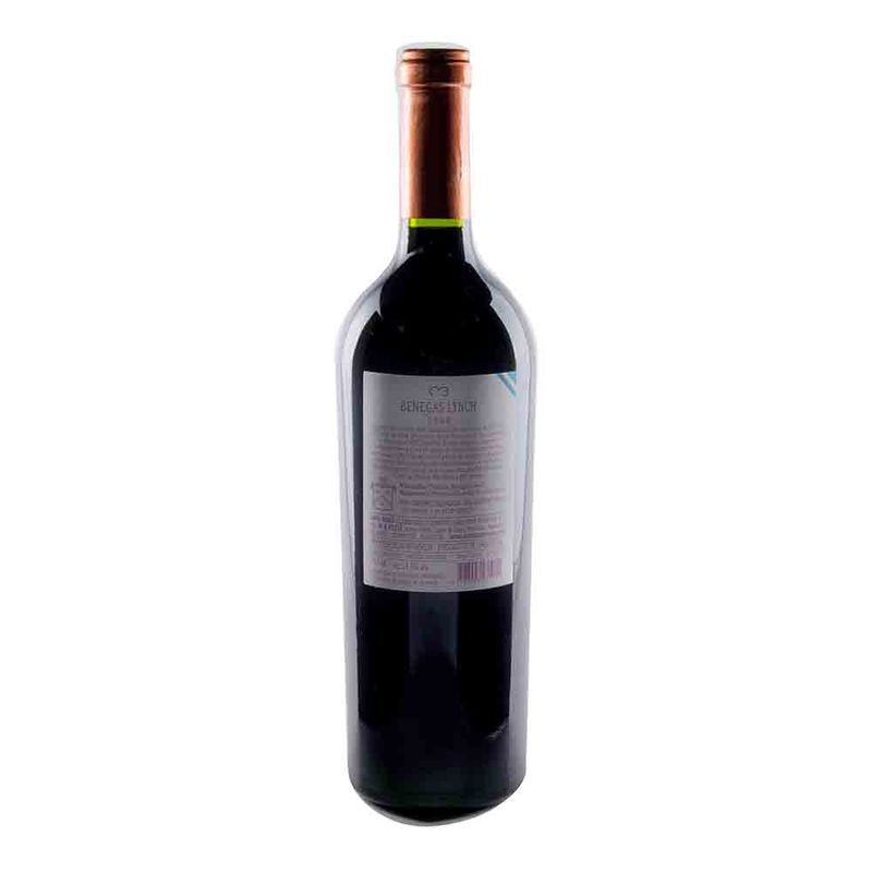 Vino-Tinto-Benegas-Lynch-Meritage-750-Cc-2-249156