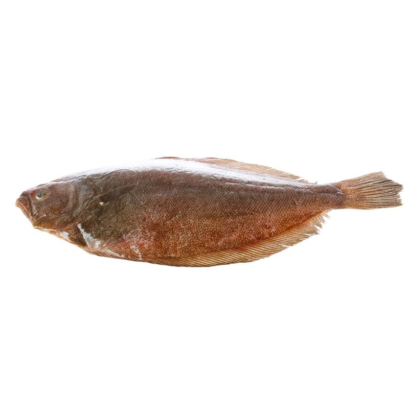 Lenguado-Entero-1-249286