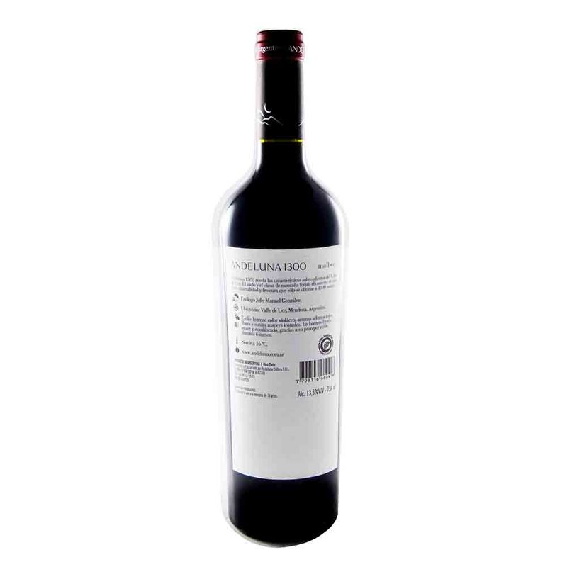 Vino-Familia-Reina-Malbec--Botella-750-Cc-2-13997