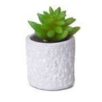 Planta-Artificial-Krea-1-7777