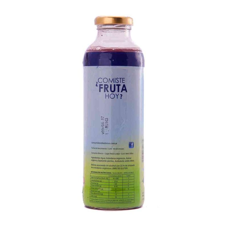 Jugo-De-Arandano-Organico-Las-Brisas-bot-cc-500-3-8007