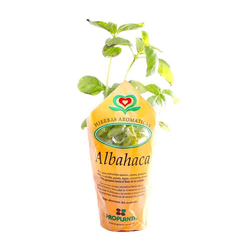 Plantines-Aromaticas-Por-Kg-3-34921