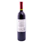 Vino-Tinto-Norton-Malbec-Joven-750-Cc-2-19950