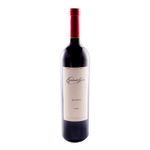 Vino-Tinto-Escorihuela-Gascon-Malbec-750-Cc-4-18928