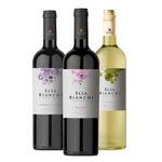 Vino-Elsa-Bianchi-Malbec-X-750-Cc-2-38620