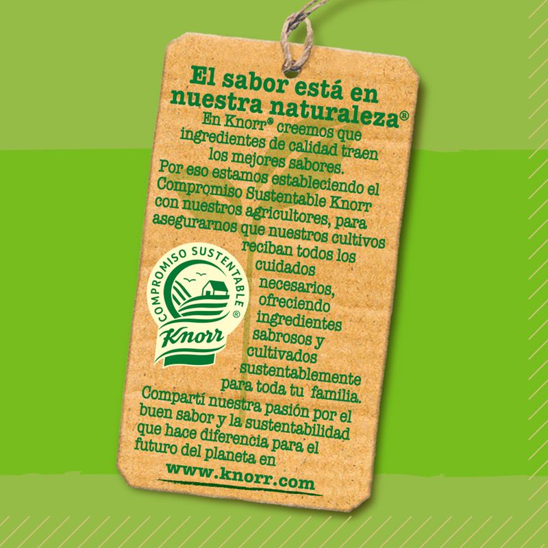 Sopa-Instantanea-Zapallo-Knorr-Quick-Caja-70-Gr-5-5728