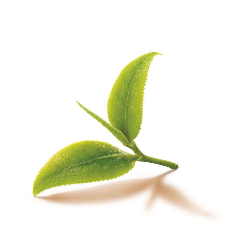 Te-Lipton-En-Saquitos-X-20-Un-First-Earl-Grey--Cja-20-Un-3-50