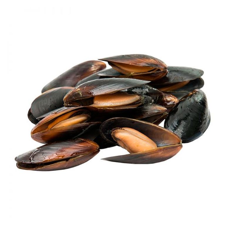 Mejillones-Vivos-X-Kg-s-e-kg-1-1-227723